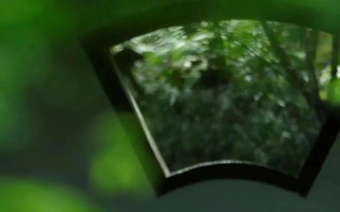 残月缱绻相依相伴