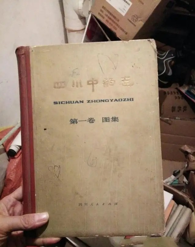 河南到安徽！男子深夜跨省抓39只壁虎被拘役4个月！壁虎很值钱吗