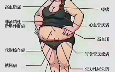 怎么样吃螺旋藻能减肥，咨询一下螺旋藻的效果