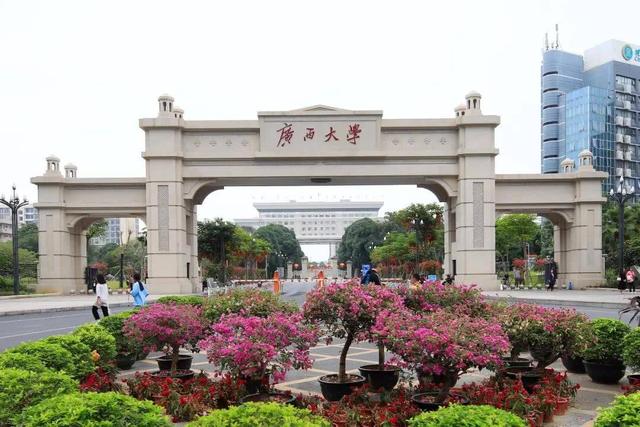 作为广西的考生，你需要多少分才能上广西大学？