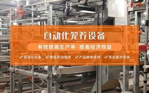 怎么样才能养土鸡，规模化蛋鸡养殖场,蛋鸡的养殖技术是什么