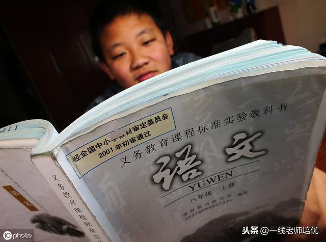知识点+练习题 部编版五年级语文上册 12 古诗三首