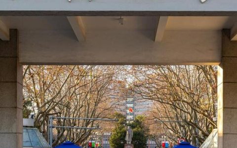 同济大学 分数线(同济大学 分数线)