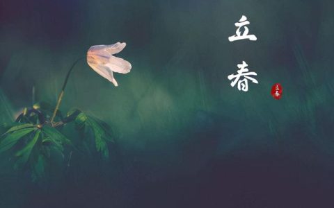 2022年立春新年新希望