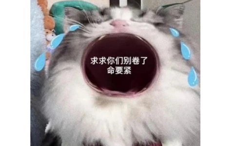 三花怎么样工资压多久，一个月挣3500的工作怎么样