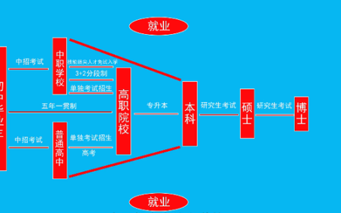 职高可以考大学吗(职高考大学和普高考大学有区别吗)