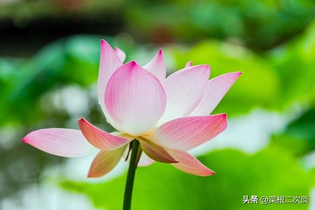 因为打了老婆一巴掌，丈母娘非要老婆和我离婚，我同意了