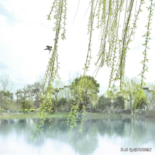 无可奈何花落去，似曾相识燕归来