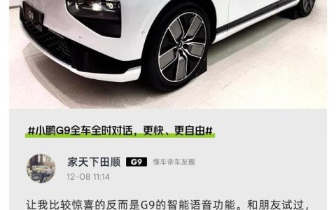 怎么样成为朋友，鹏和朋友们