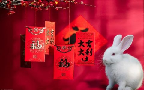 属兔二月初一生怎么样，癸卯兔年是什么意思