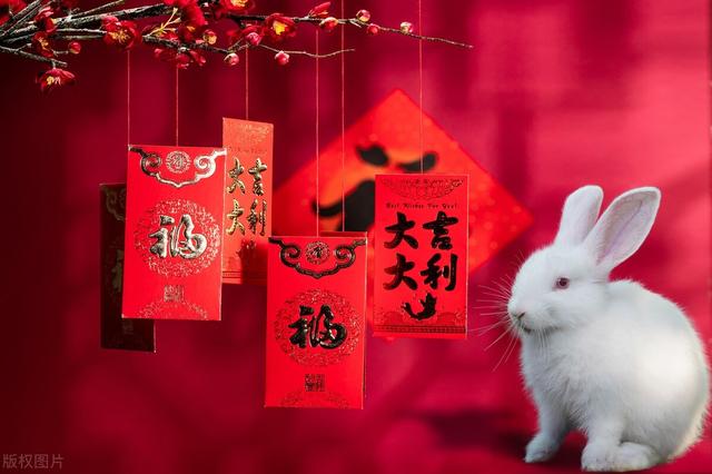 癸卯年兔字释义 （随笔）