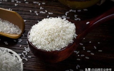 五丰和五常大米怎么样，兴安家和大米