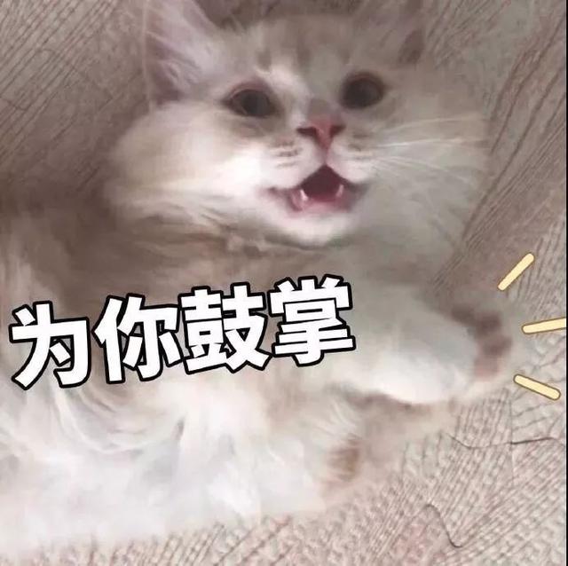 最新！孝感又有一批新学校规划出炉，你家要变学区房了？