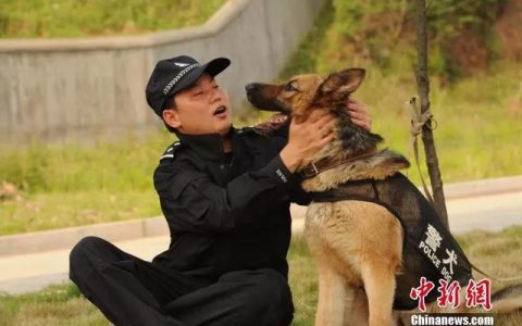 《意难忘第二部：深爱无疆的浪漫爱情故事》
