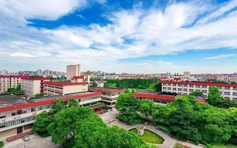 上海财经大学招生网(上海财经大学招生网站)