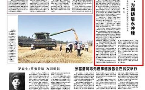 北京蘑菇云最新技术 助您快速实现业务发展