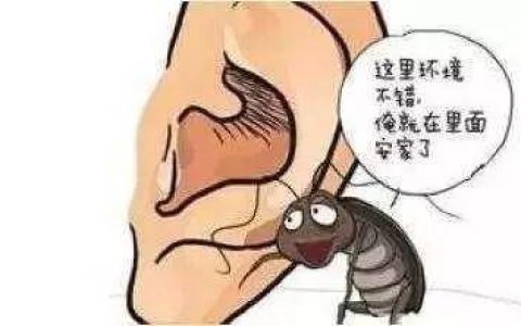 吉林省望潮投资怎么样，耳朵里面进蟑螂视频