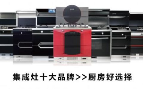 柴火集成灶厂家（柴火集成灶专家）