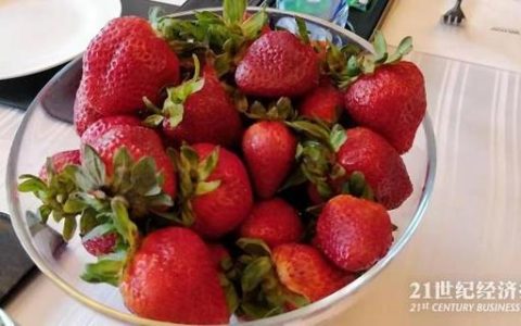 弗马斯怎么样，弗马斯精密锻件(大连)有限公司怎么样