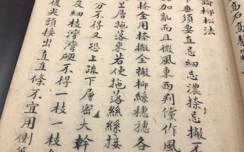 天台野战的美丽风景和激情活力