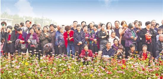 遇见美丽乡村！桐乡大麻海华村获评“全国生态文化村”