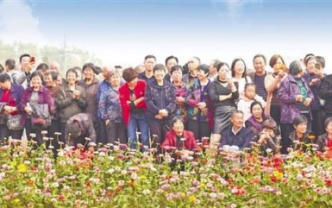 哈尔滨海华财富怎么样，桐乡海华村景区