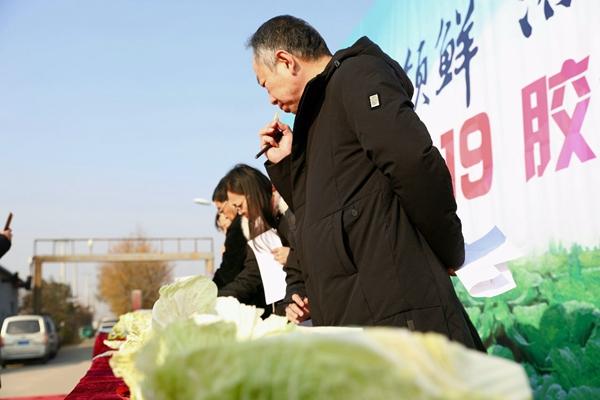 这就是山东丨颗颗都有“身份证”走向世界餐桌的胶州大白菜