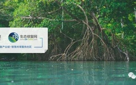 常州天马集团怎么样，土壤修复效果