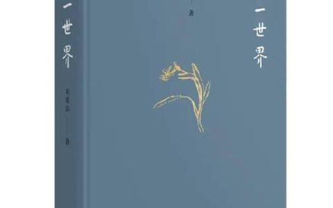 微小秘软件怎么样，朱良志 一花一世界