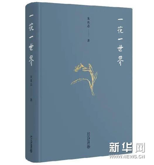 「天雨流芳」朱良志《一花一世界》