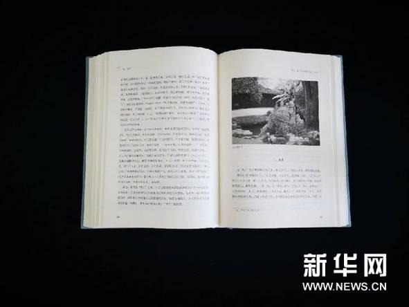 「天雨流芳」朱良志《一花一世界》