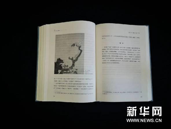 「天雨流芳」朱良志《一花一世界》