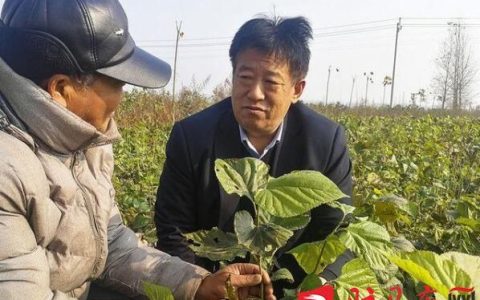 山西广源饲料 怎么样，一枝一叶总关情的下一句是什么