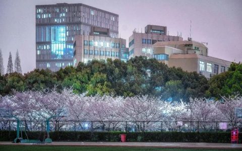 同济大学研究生(同济大学研究生招生专业目录)