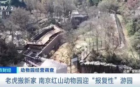 南京红山动物园怎么样，南京红山动物园半天涌入17万游客