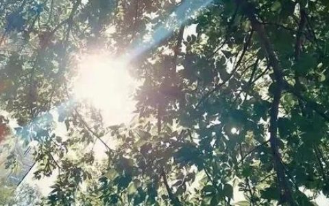 江汉大学招生网(江汉大学研究生招生)