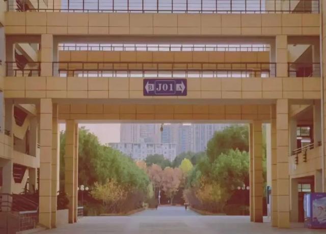 重磅发布丨江汉大学2021年招生专业组（湖北省）分组信息及选考科目