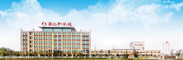 王仁和：“小米线”，“大梦想”