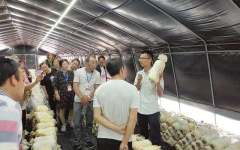 山西农大教务处(山西农大教务处长)