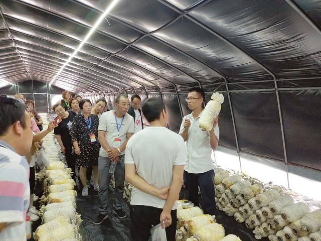 双创 另一个成长课堂