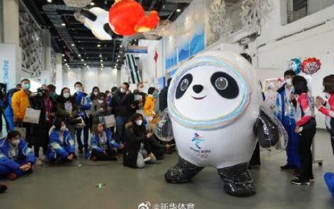 福娃晶晶的美妙世界