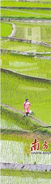肇庆，开好局