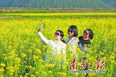 肇庆，开好局