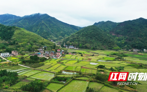 新田县怎么样，新田园诗