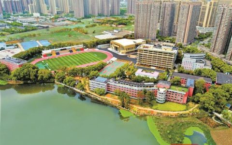 武汉市洪山中学(武汉市洪山中学校长)