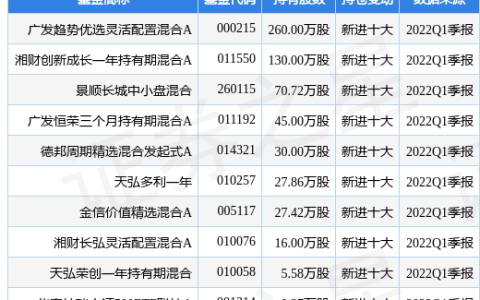 600409资金流向研究分析