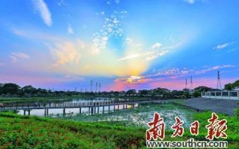 容桂美的电器怎么样，中山东凤小家电生产厂家