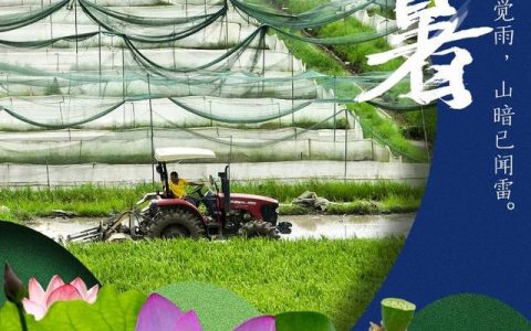 三伏天一般在哪两个节气之间（三伏天来临）