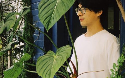 上海一植家具怎么样，新乐植物园图片