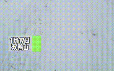 怎么样找果子狸的路，如何找果子狸的路